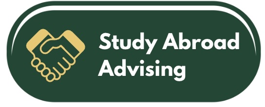 SA Advising